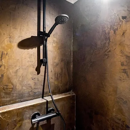 Loft 29 公寓 赞德沃特